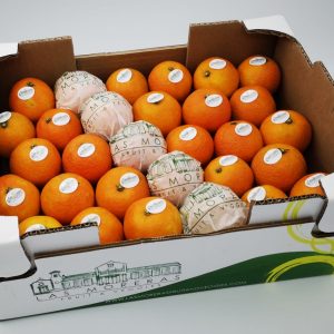 mandarina gourmet