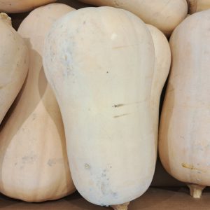 CALABAZA CACAHUETE