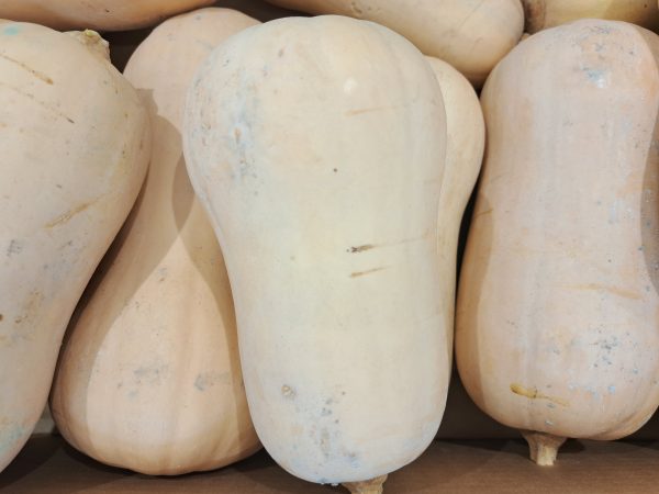 CALABAZA CACAHUETE